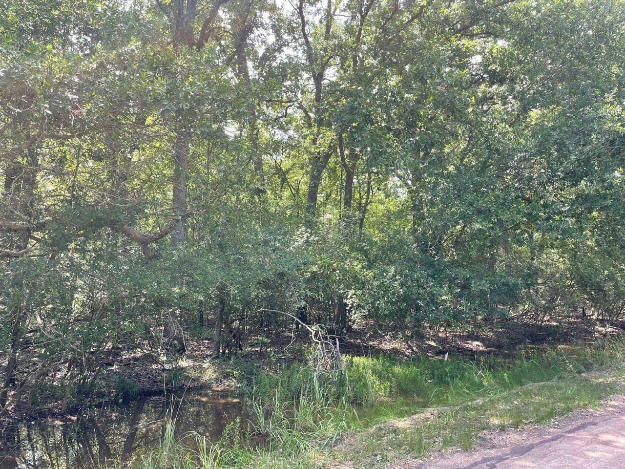 1.15 acres in Limestone County - photo 2