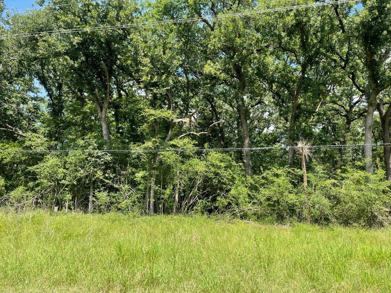 1.15 acres in Limestone County - photo 5