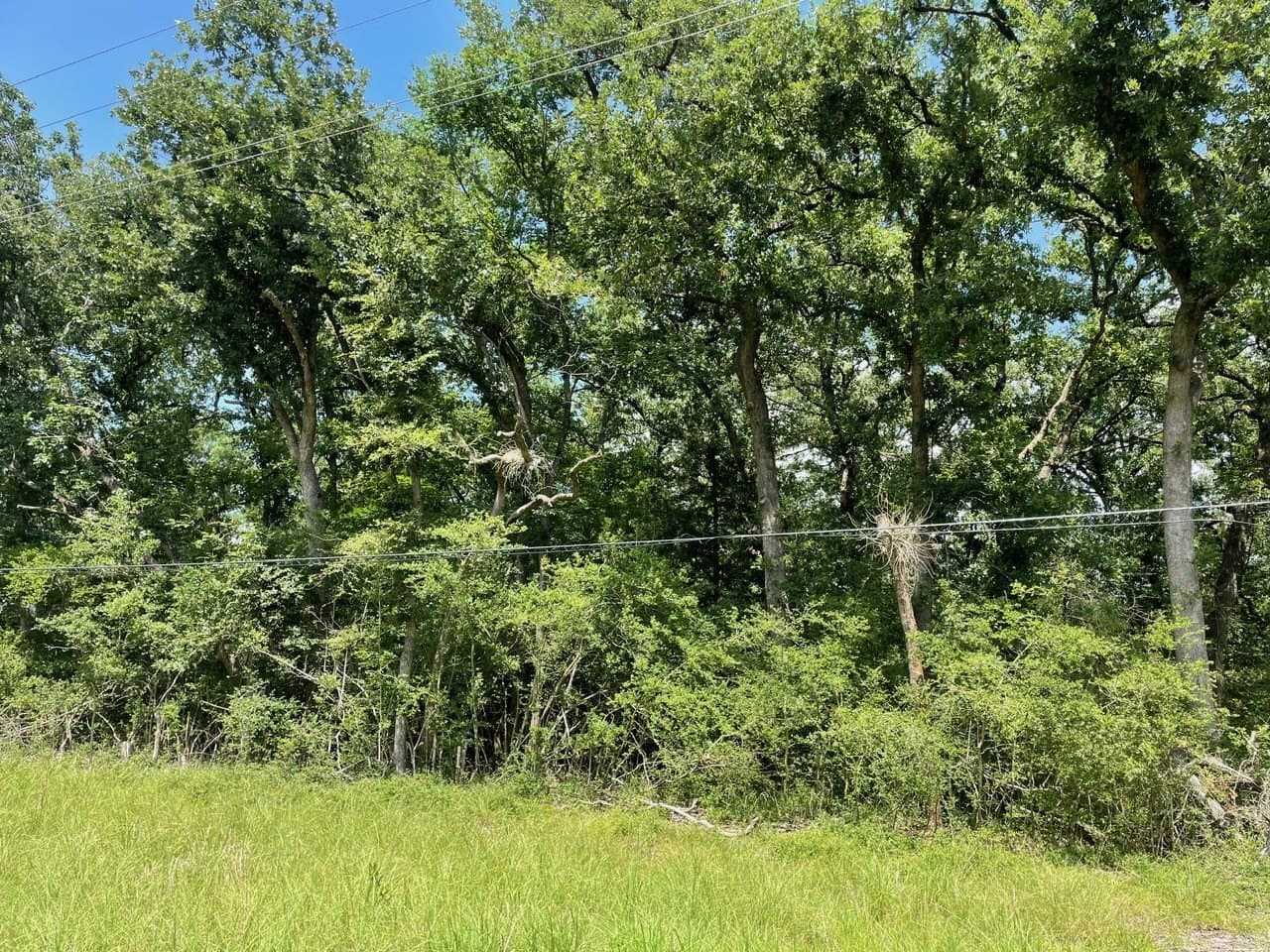 1.15 acres in Limestone County - photo 4