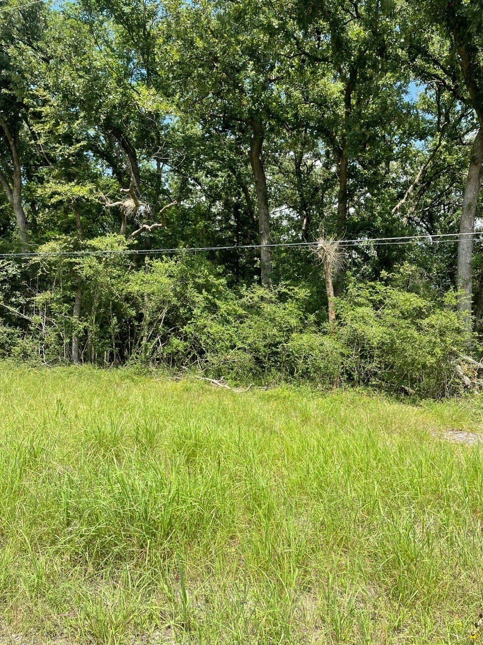 1.15 acres in Limestone County - photo 3
