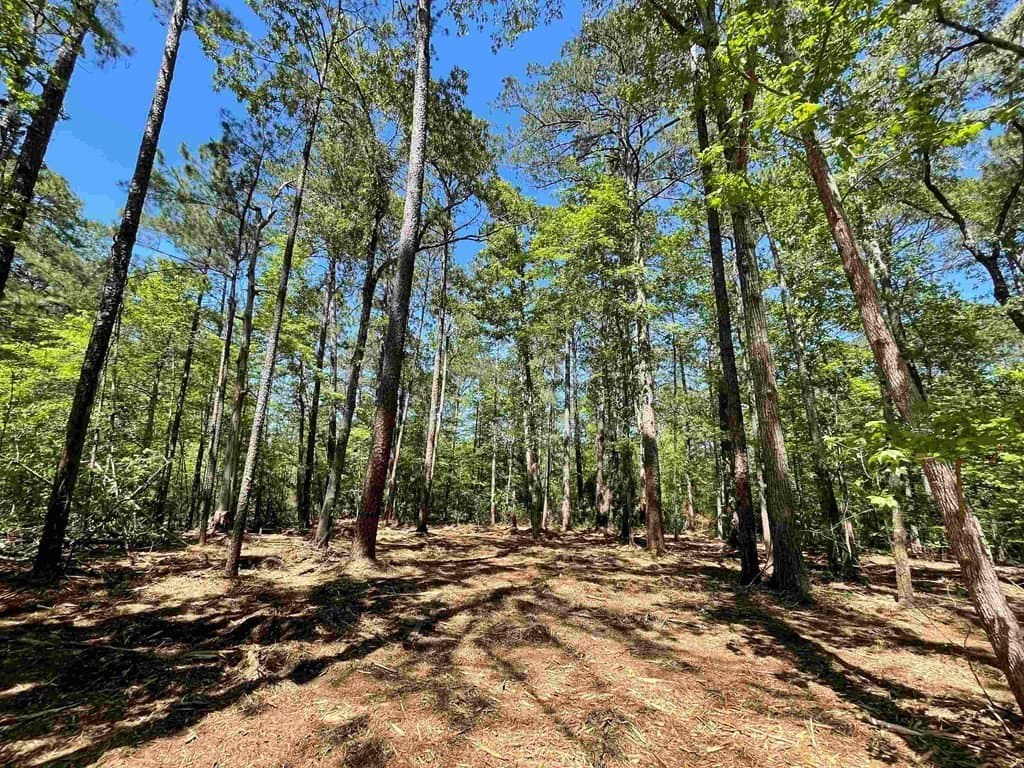 0.22 acres in Texas County - photo 2