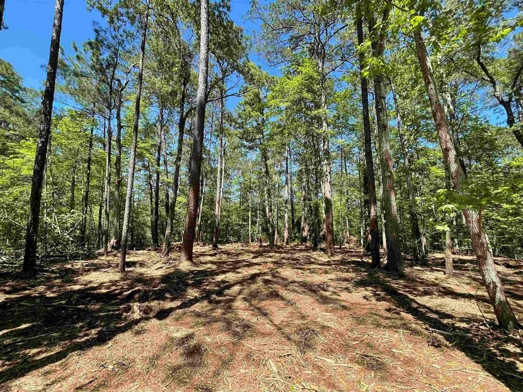 0.22 acres in Texas County - photo 6
