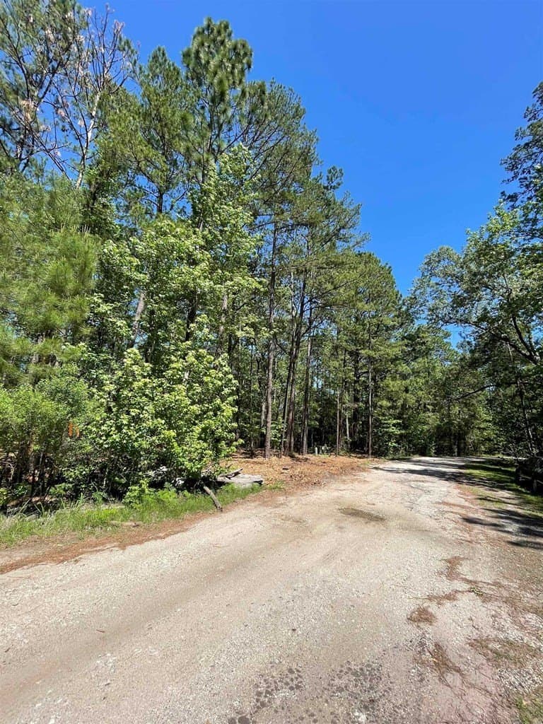 0.22 acres in Texas County - photo 5