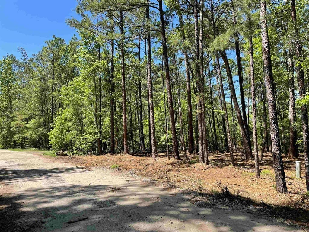 0.22 acres in Texas County - photo 4