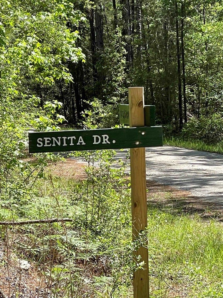 0.22 acres in Texas County - photo 3