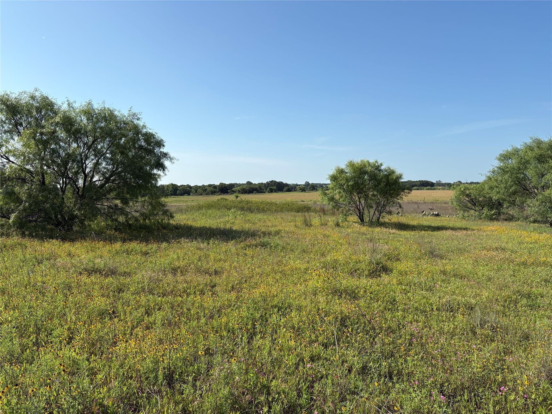 16 acres in Eastland County - photo 7