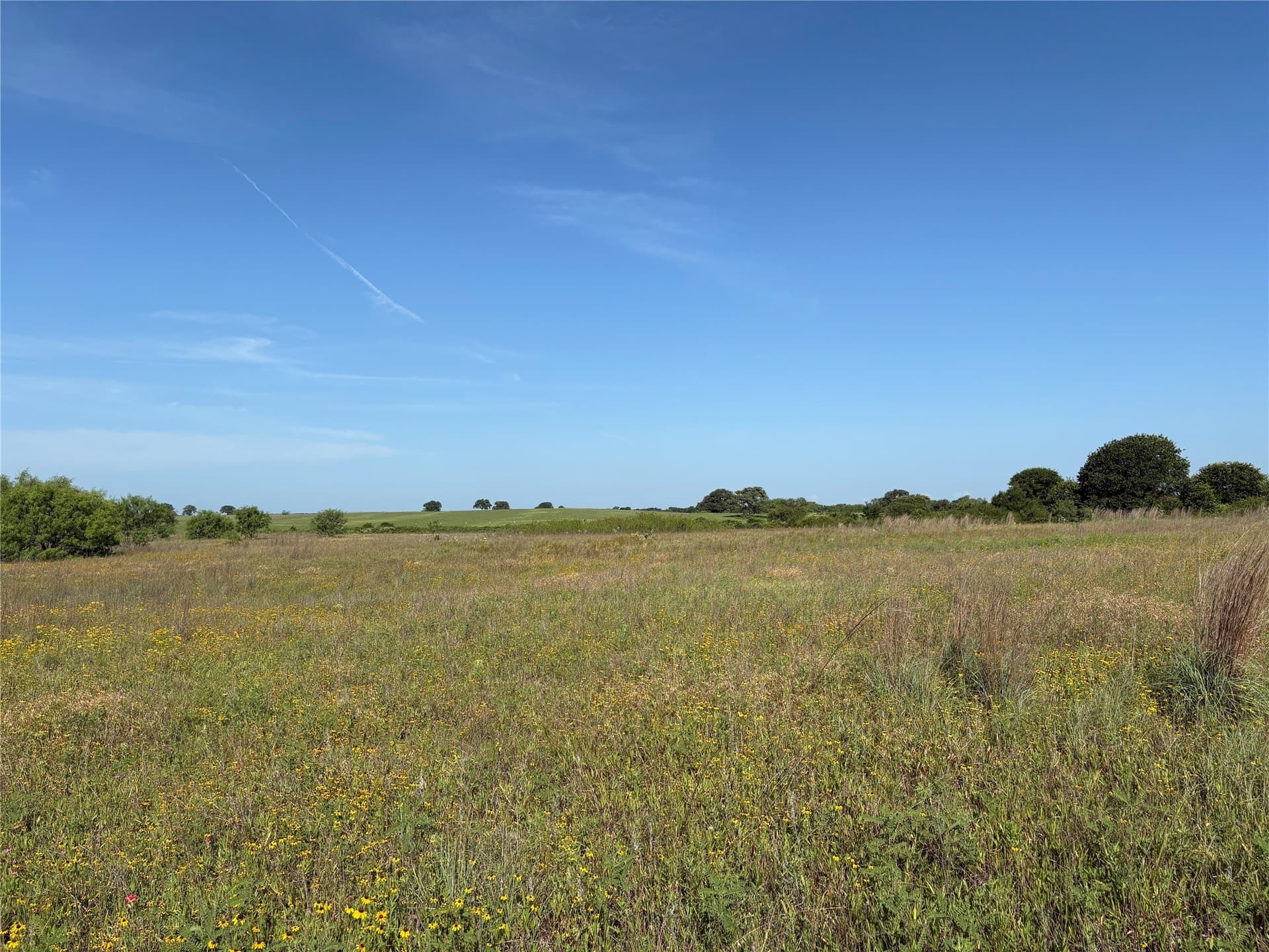 16 acres in Eastland County - photo 6