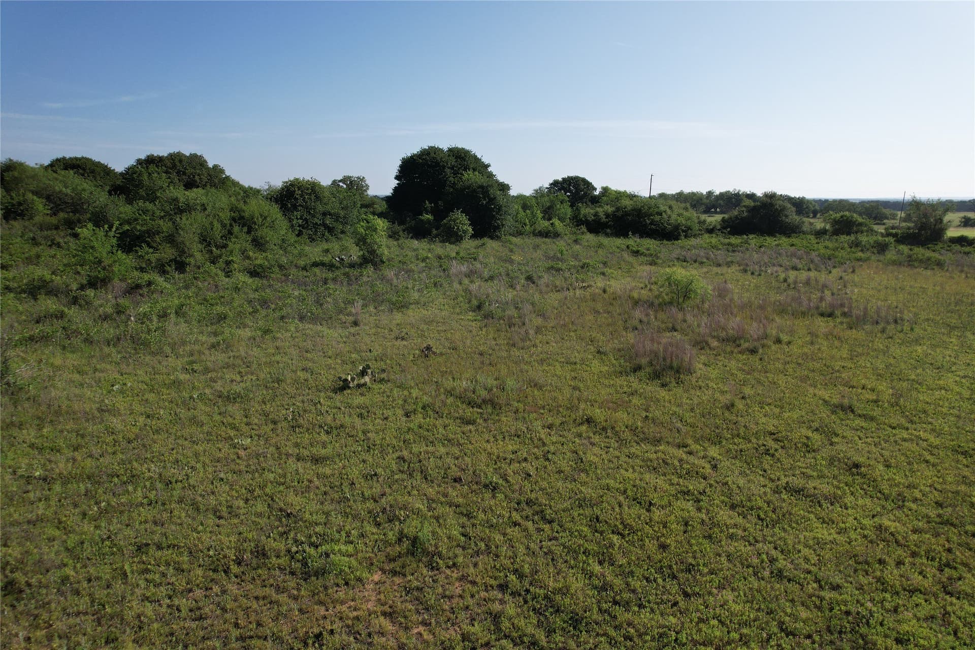 16 acres in Eastland County - photo 17