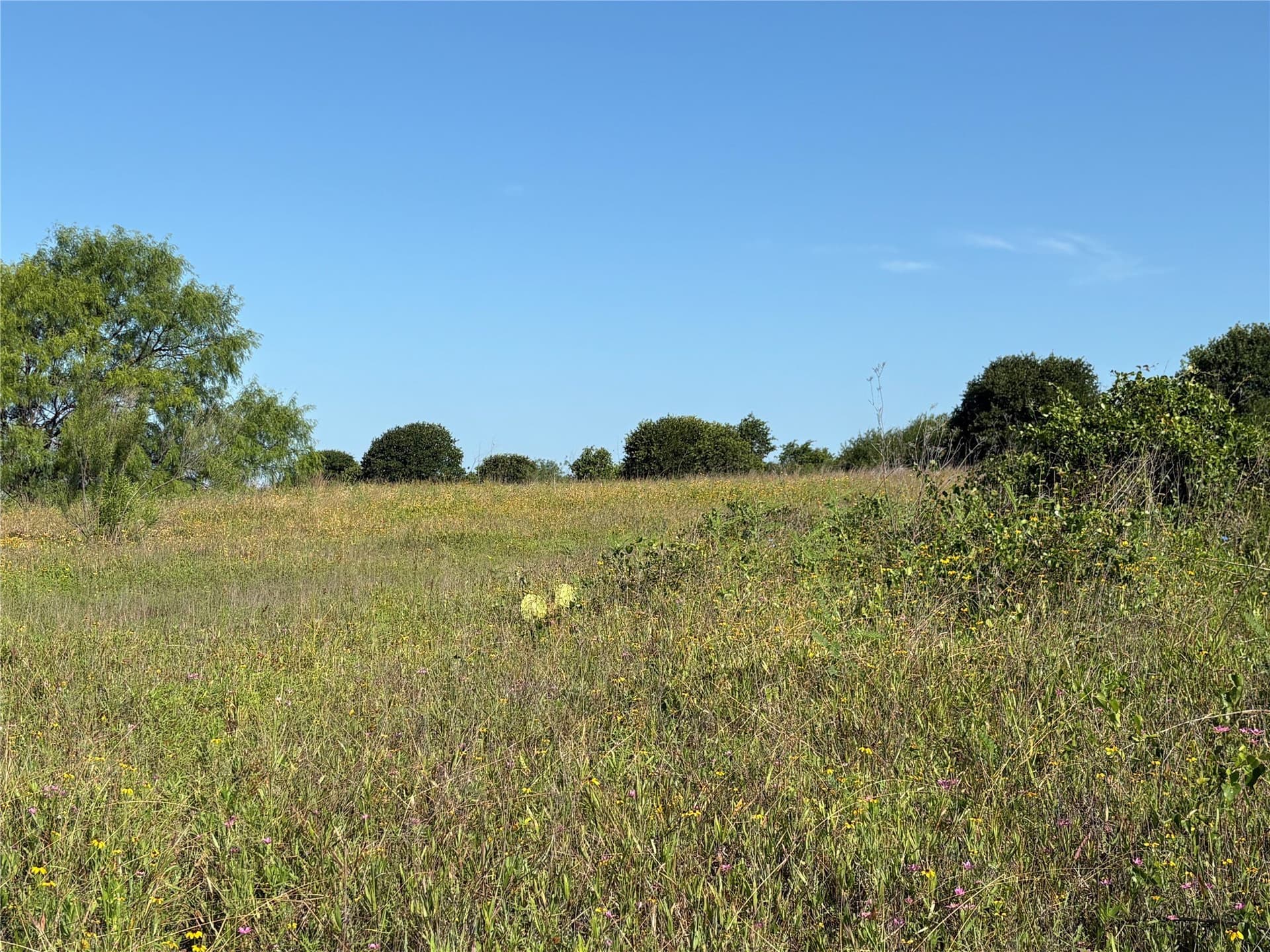16 acres in Eastland County - photo 8