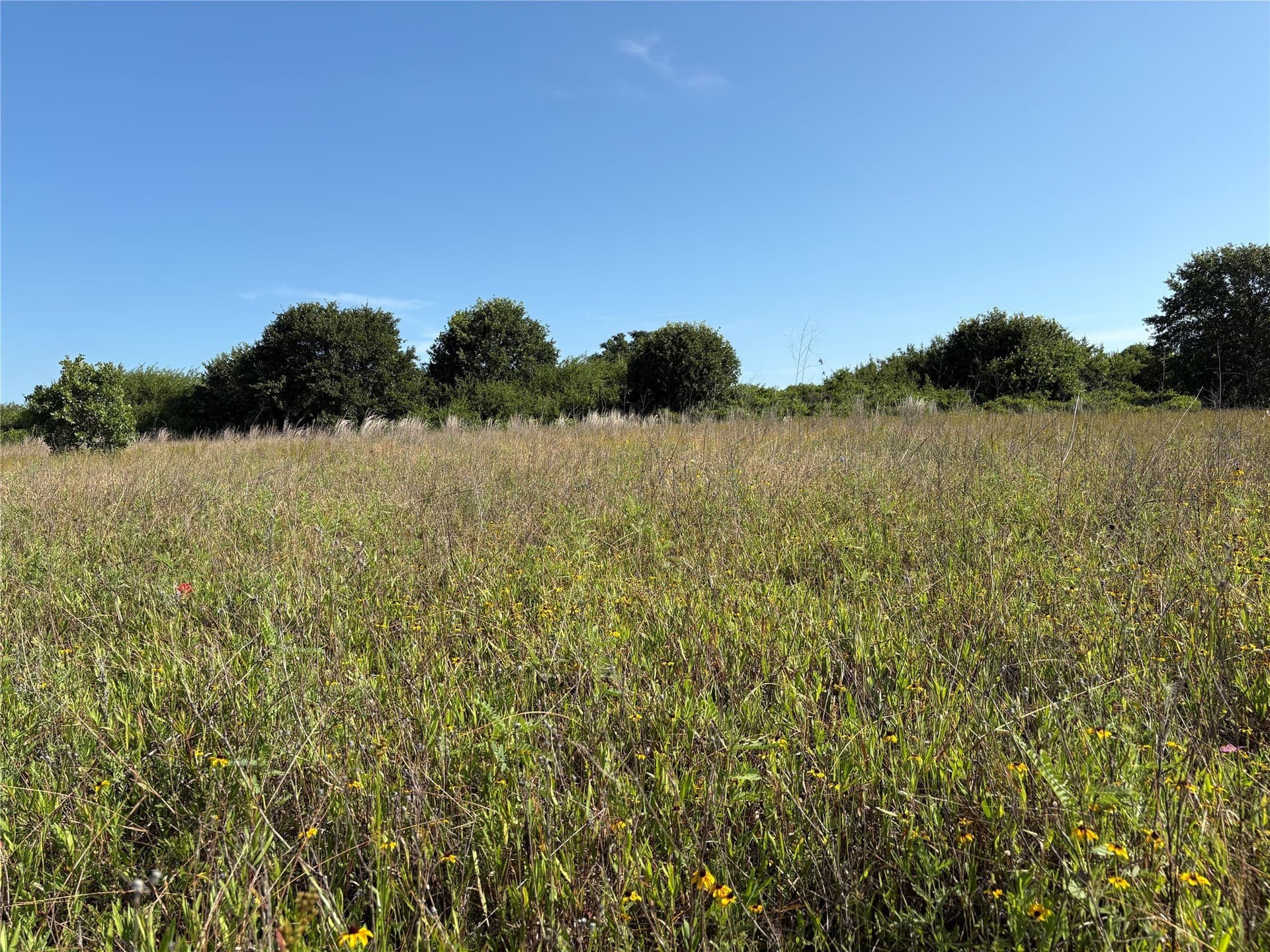 16 acres in Eastland County gallery image 4