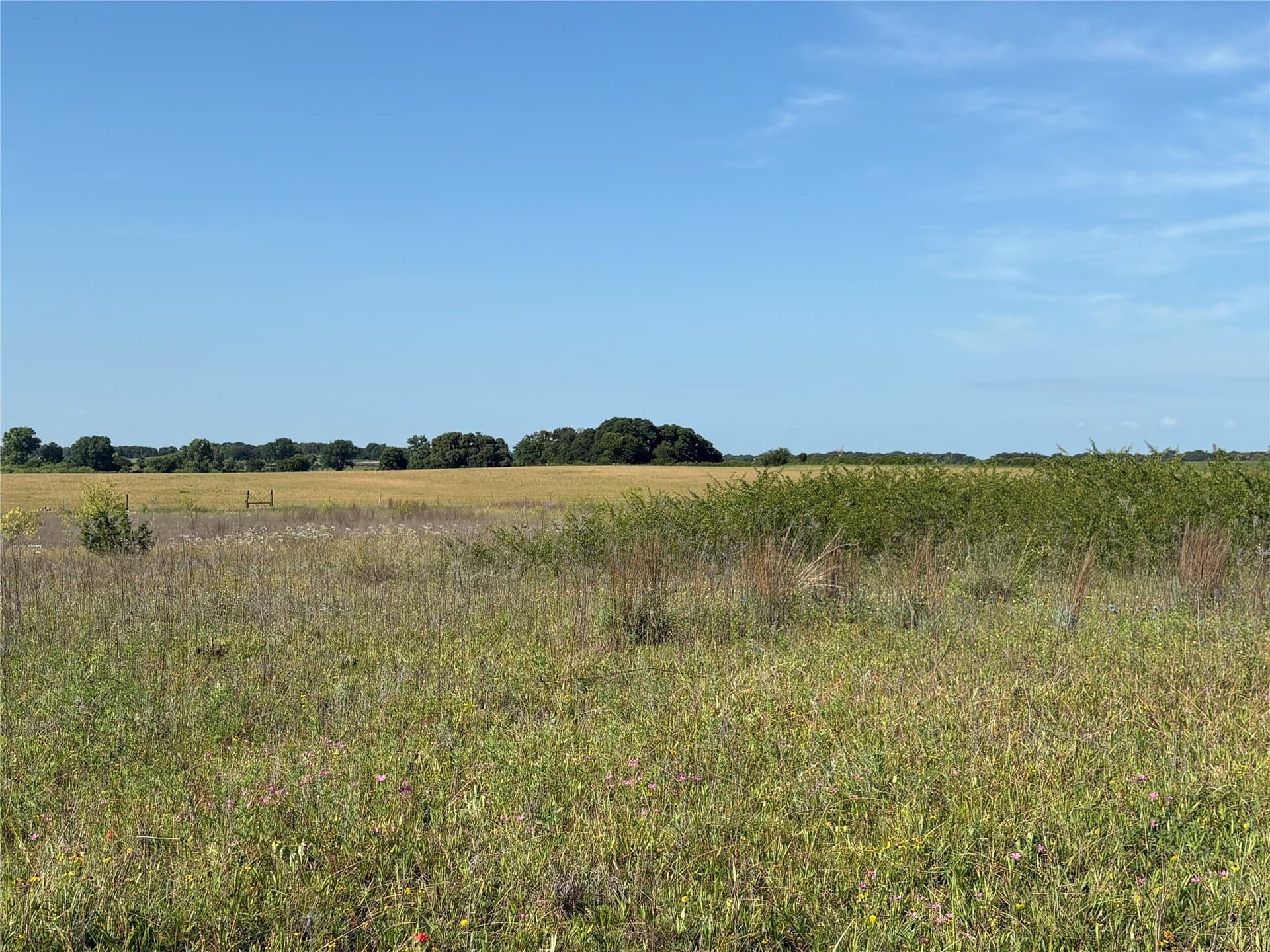 16 acres in Eastland County - photo 9