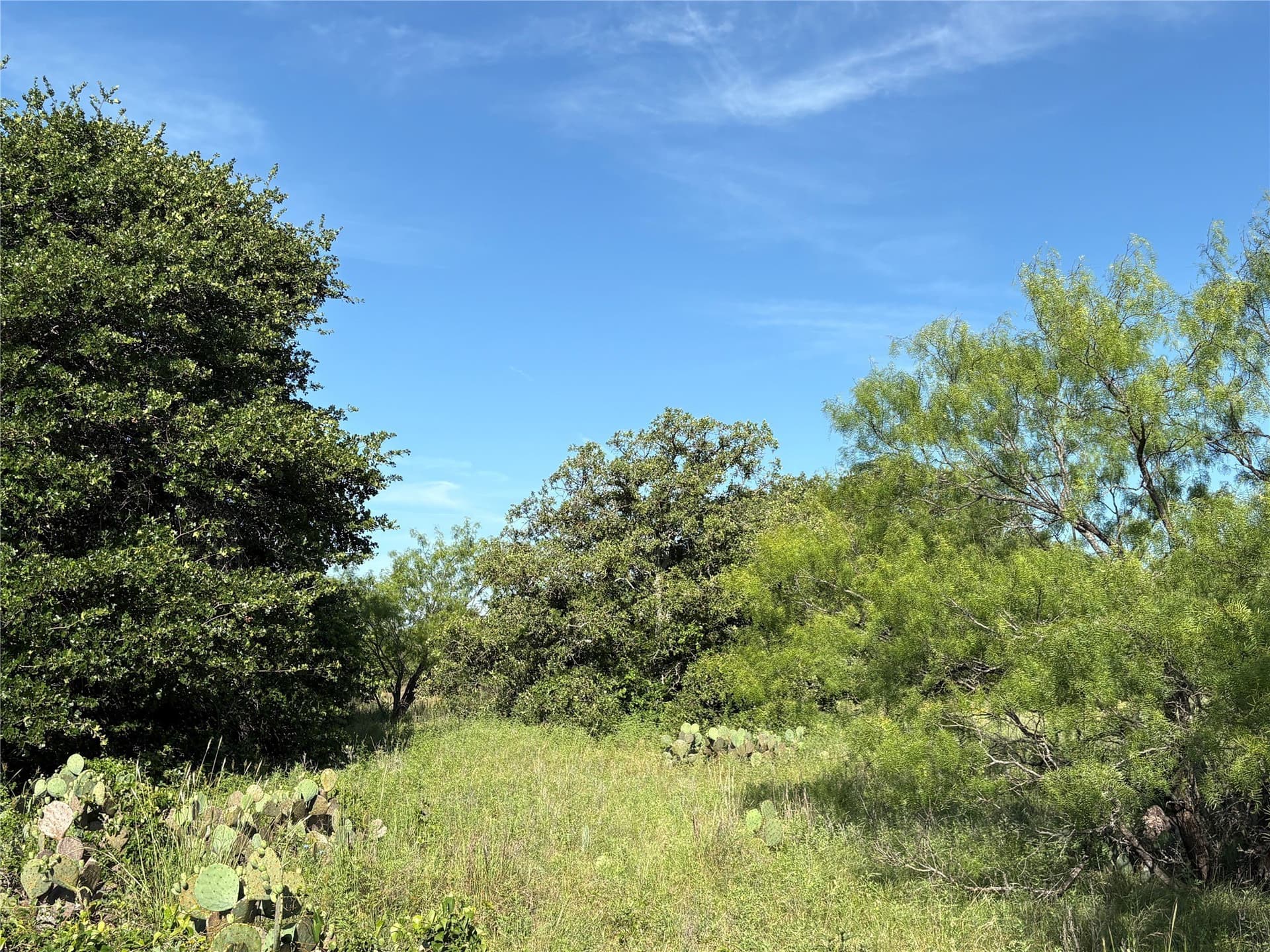 16 acres in Eastland County - photo 11