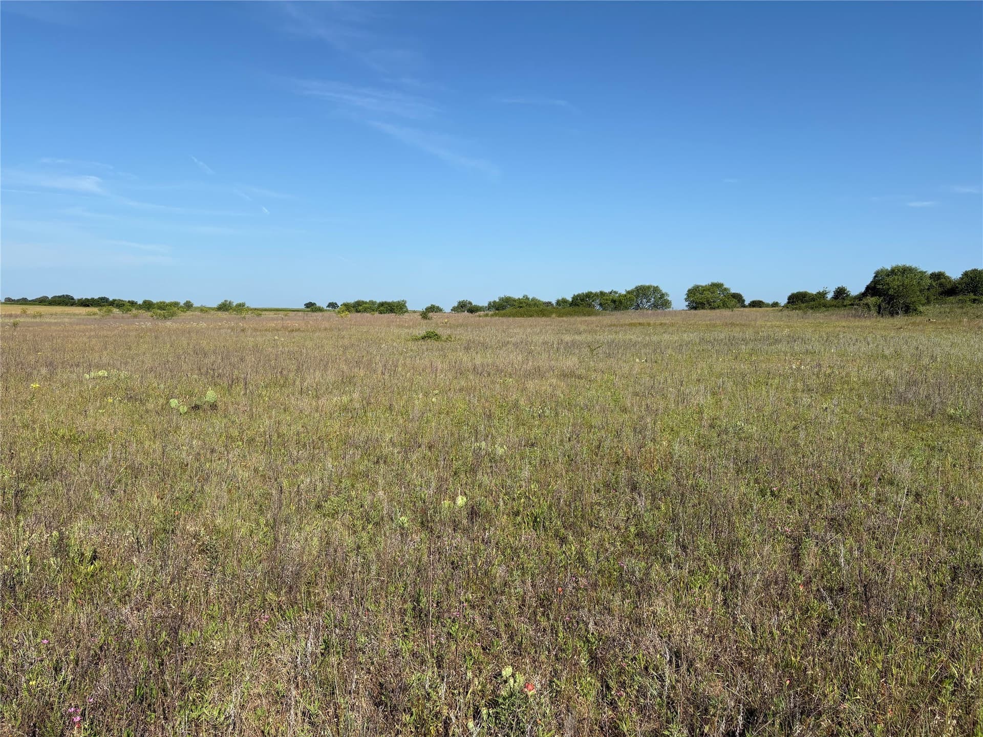 16 acres in Eastland County - photo 14
