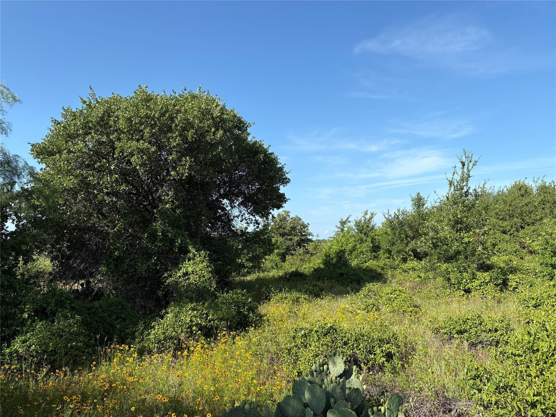 16 acres in Eastland County - photo 10