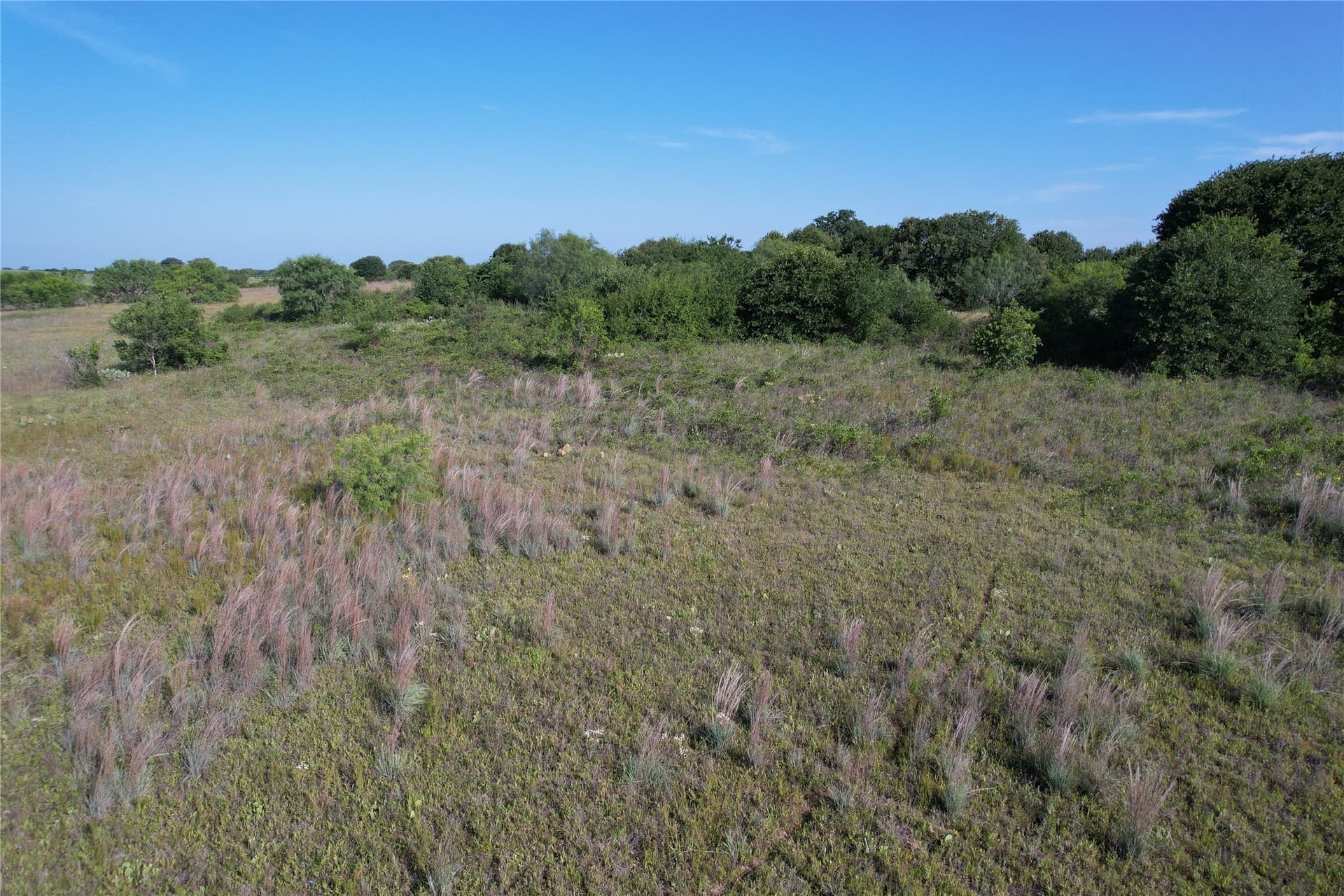16 acres in Eastland County - photo 18