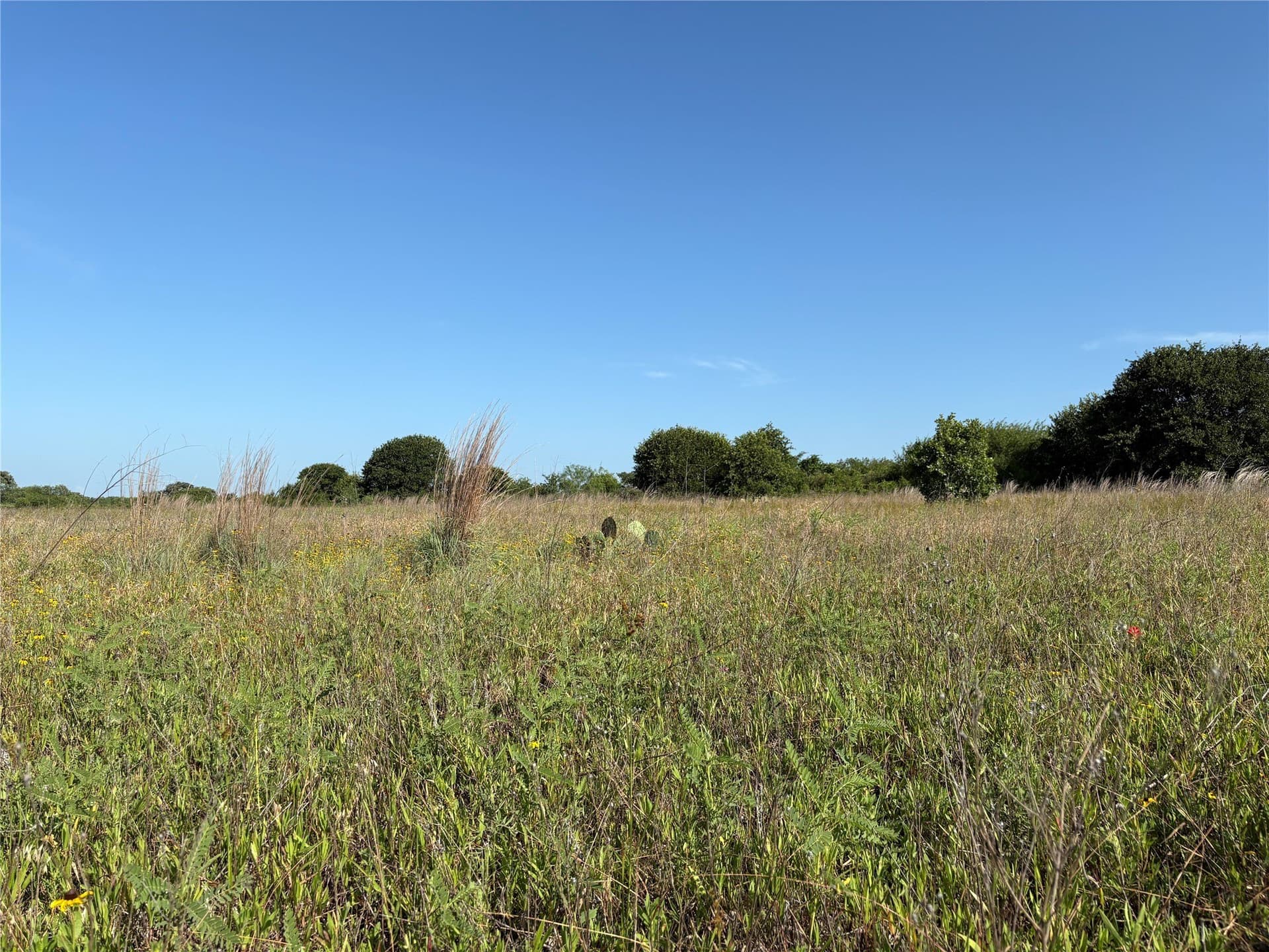 16 acres in Eastland County featured view
