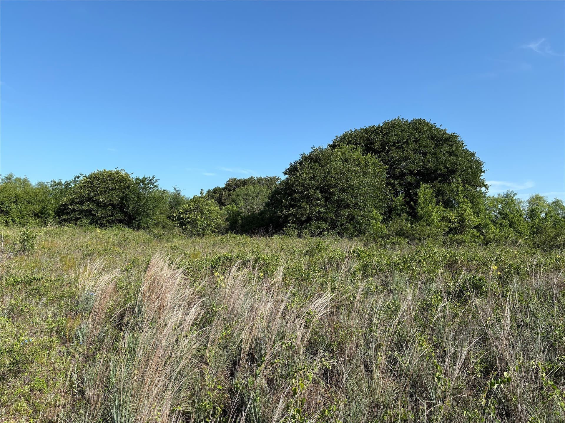 16 acres in Eastland County - photo 13