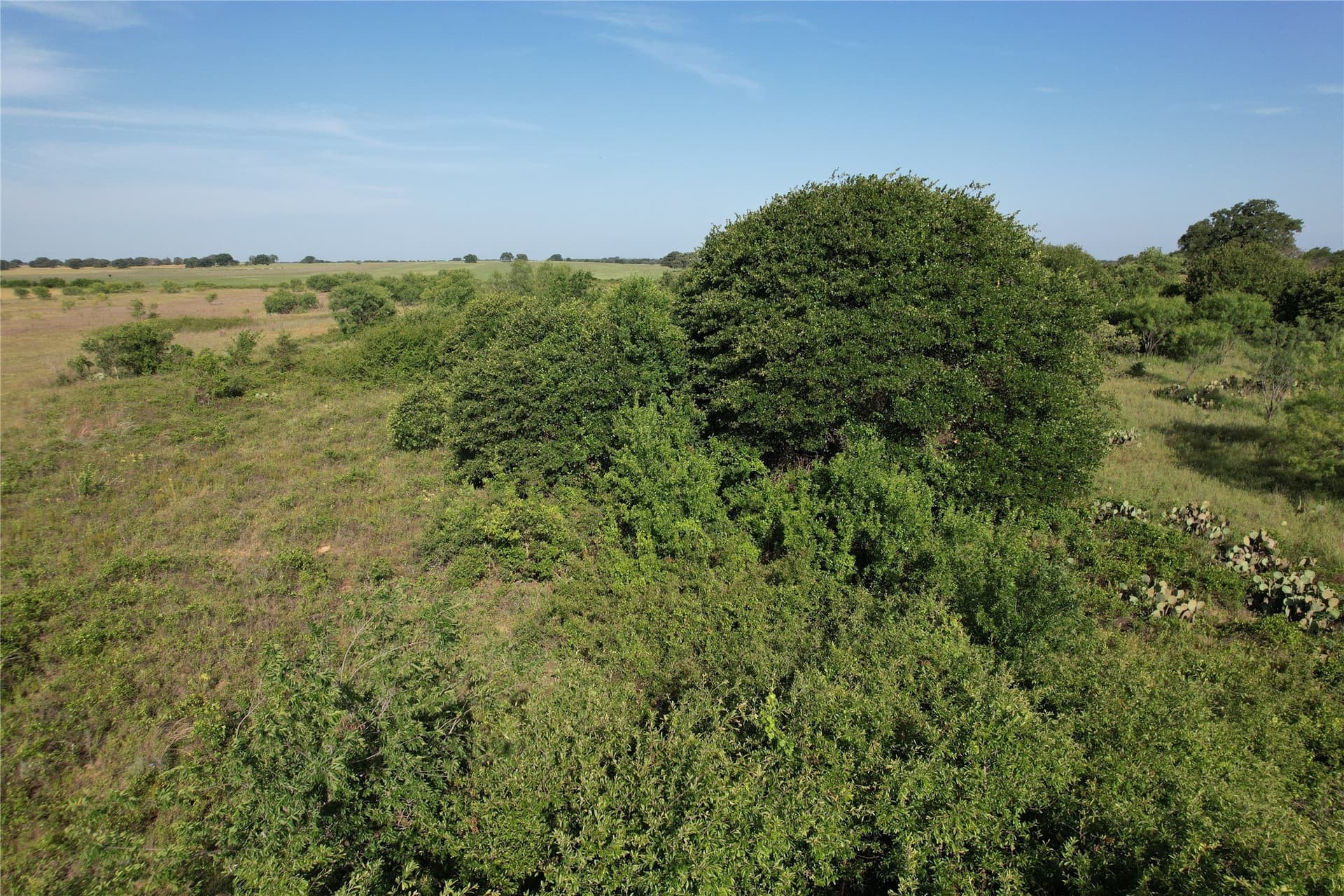 16 acres in Eastland County - photo 20