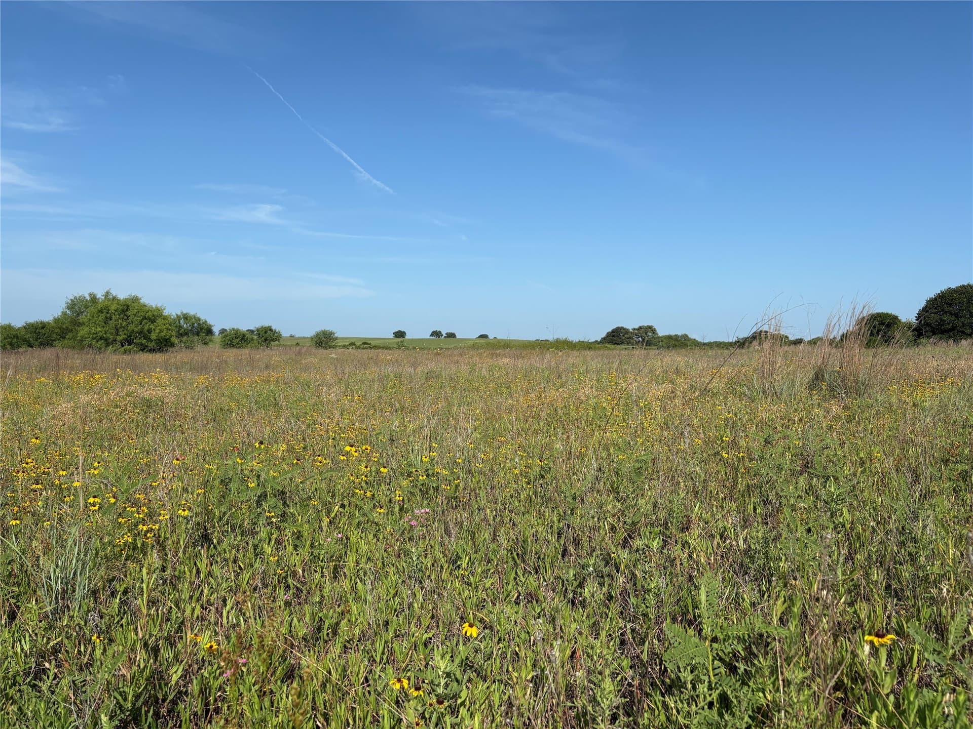 16 acres in Eastland County gallery image 2
