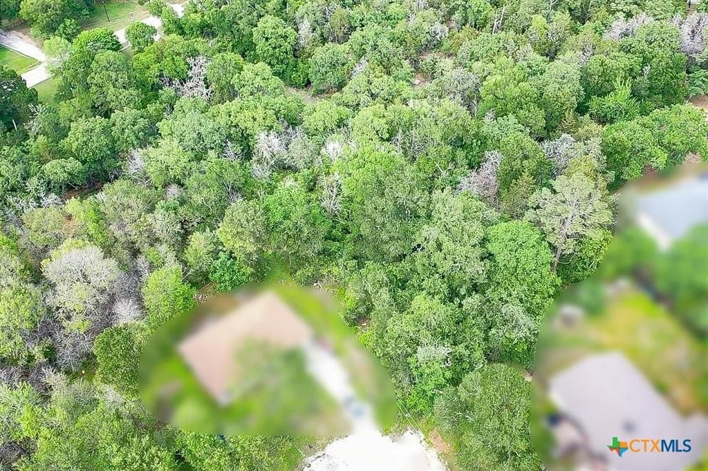0.35 acres in Bastrop County gallery image 3