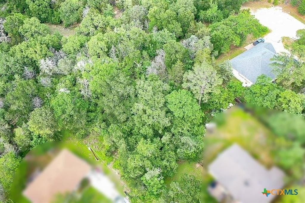 0.35 acres in Bastrop County gallery image 4