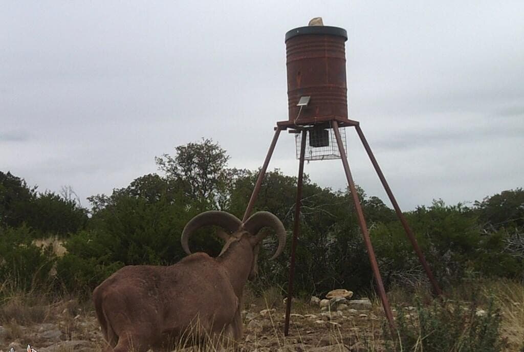 386.49 acres in Real County - photo 58
