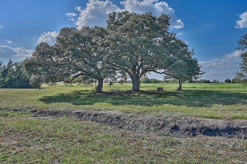 86 acres in Washington County - photo 17