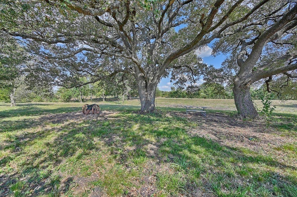 86 acres in Washington County - photo 18