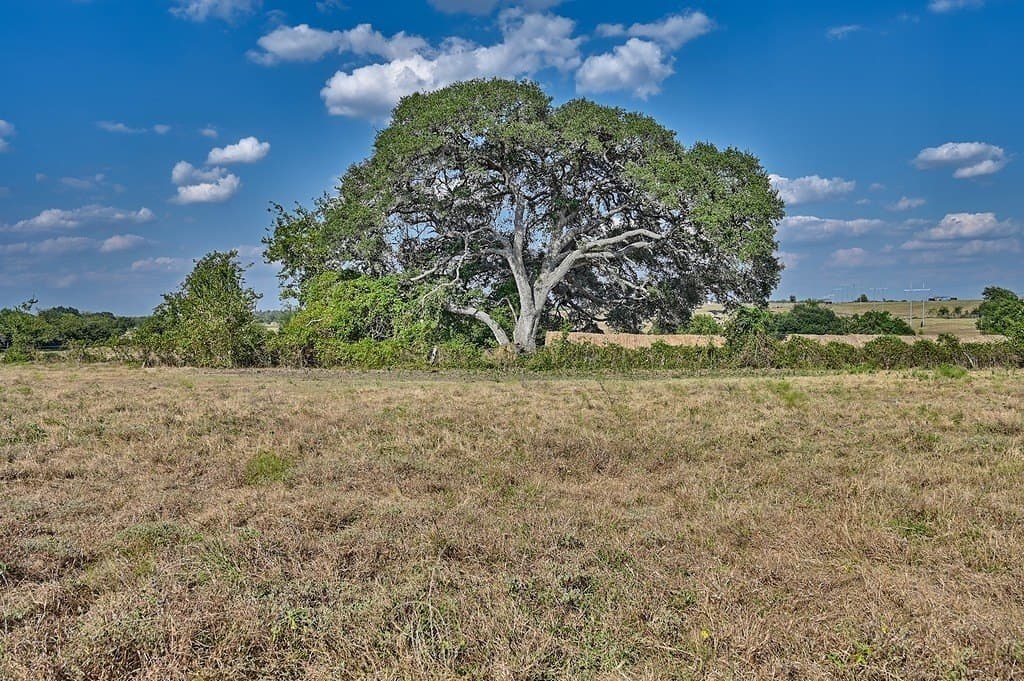 86 acres in Washington County gallery image 3