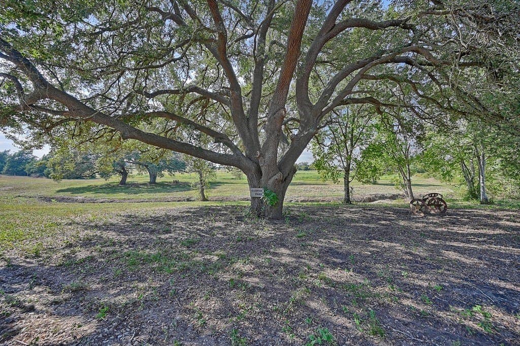 86 acres in Washington County - photo 9
