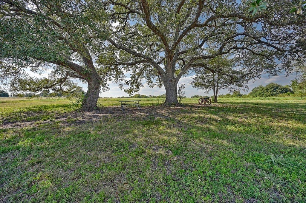 86 acres in Washington County - photo 21