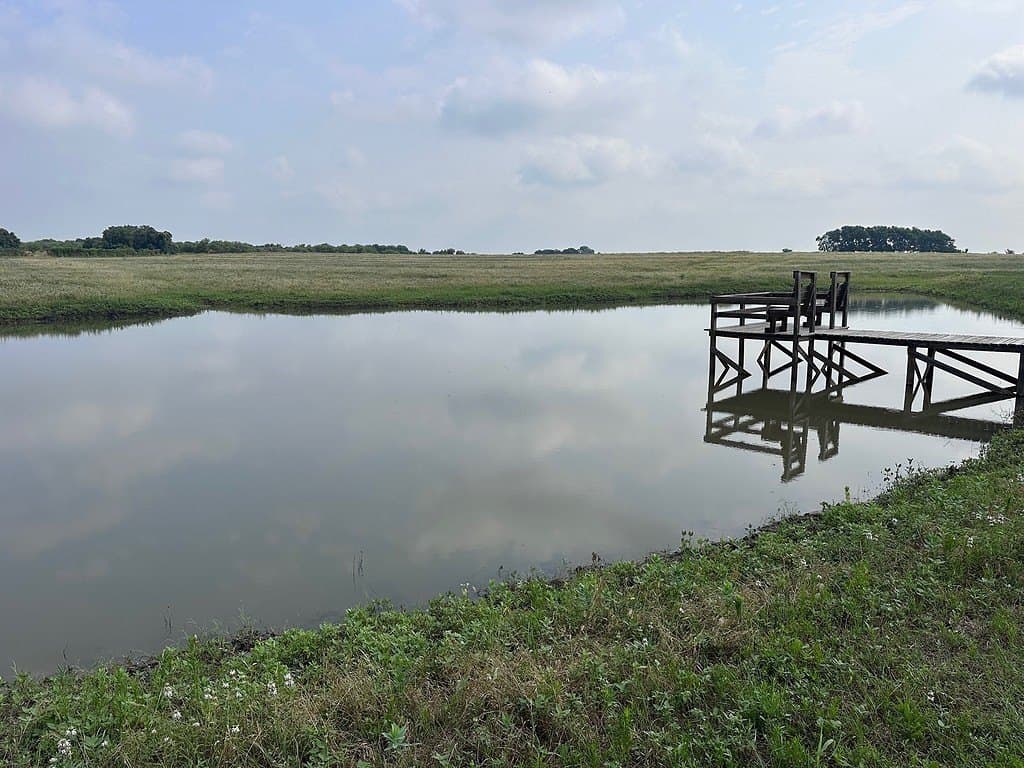 86 acres in Washington County - photo 8