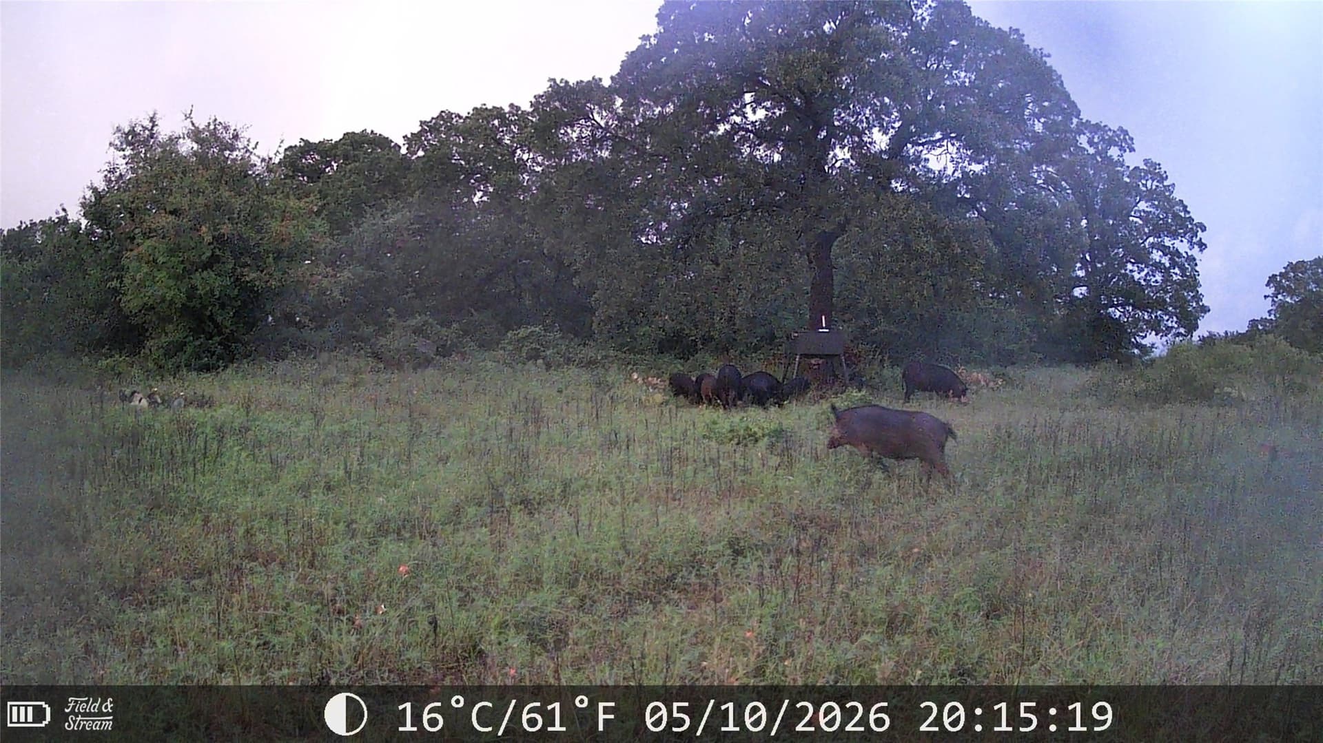 21 acres in Jack County - photo 19