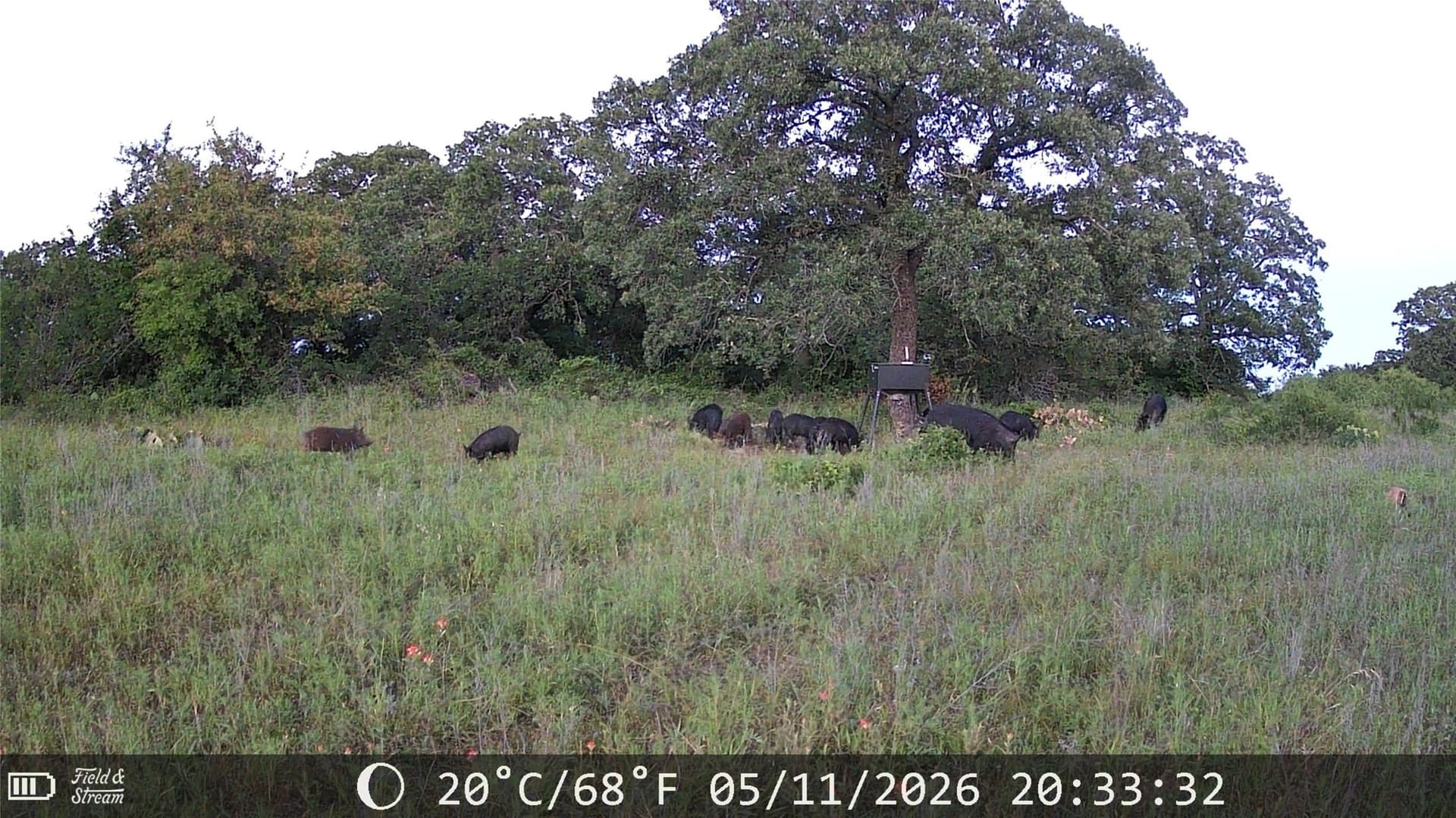 21 acres in Jack County - photo 16