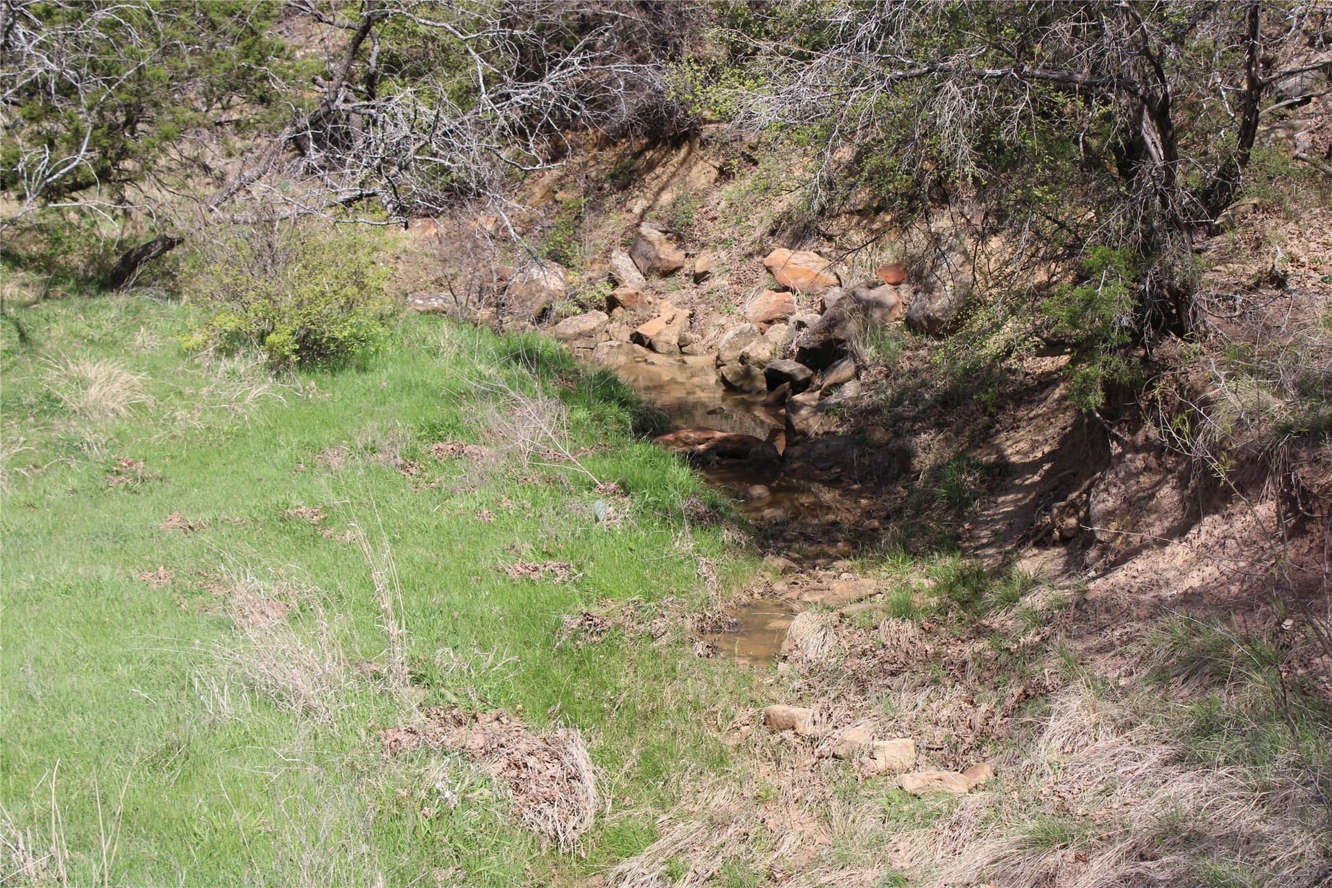 21 acres in Jack County - photo 8