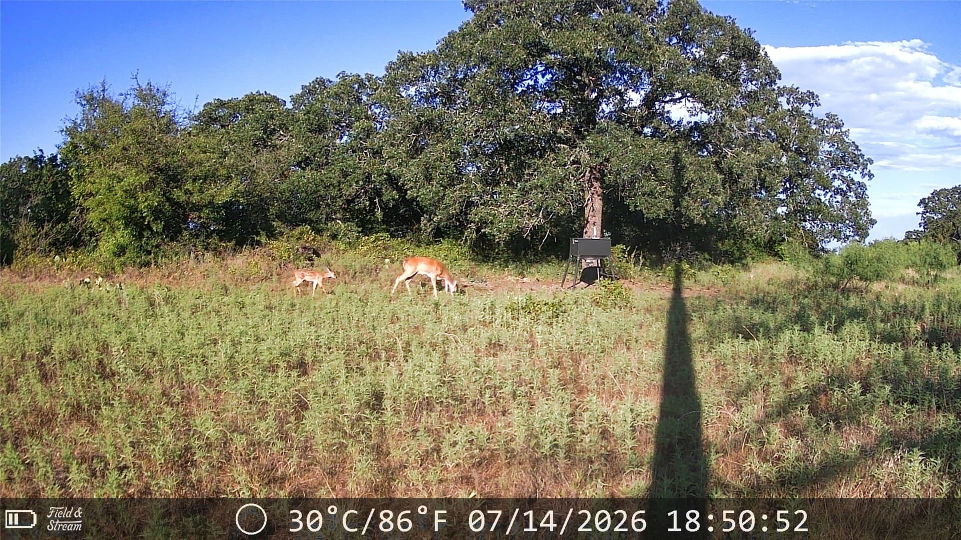 21 acres in Jack County - photo 18