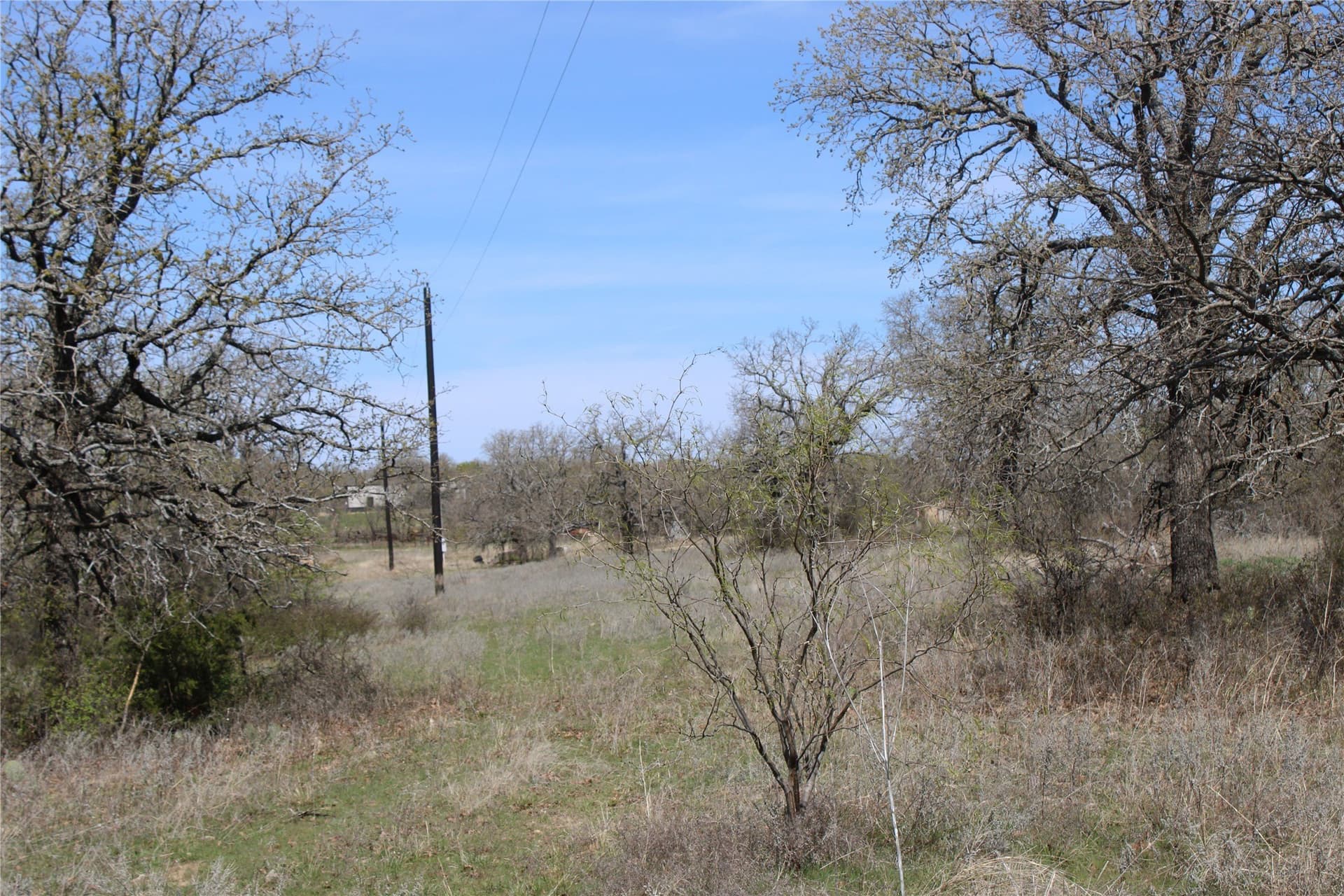 21 acres in Jack County featured view