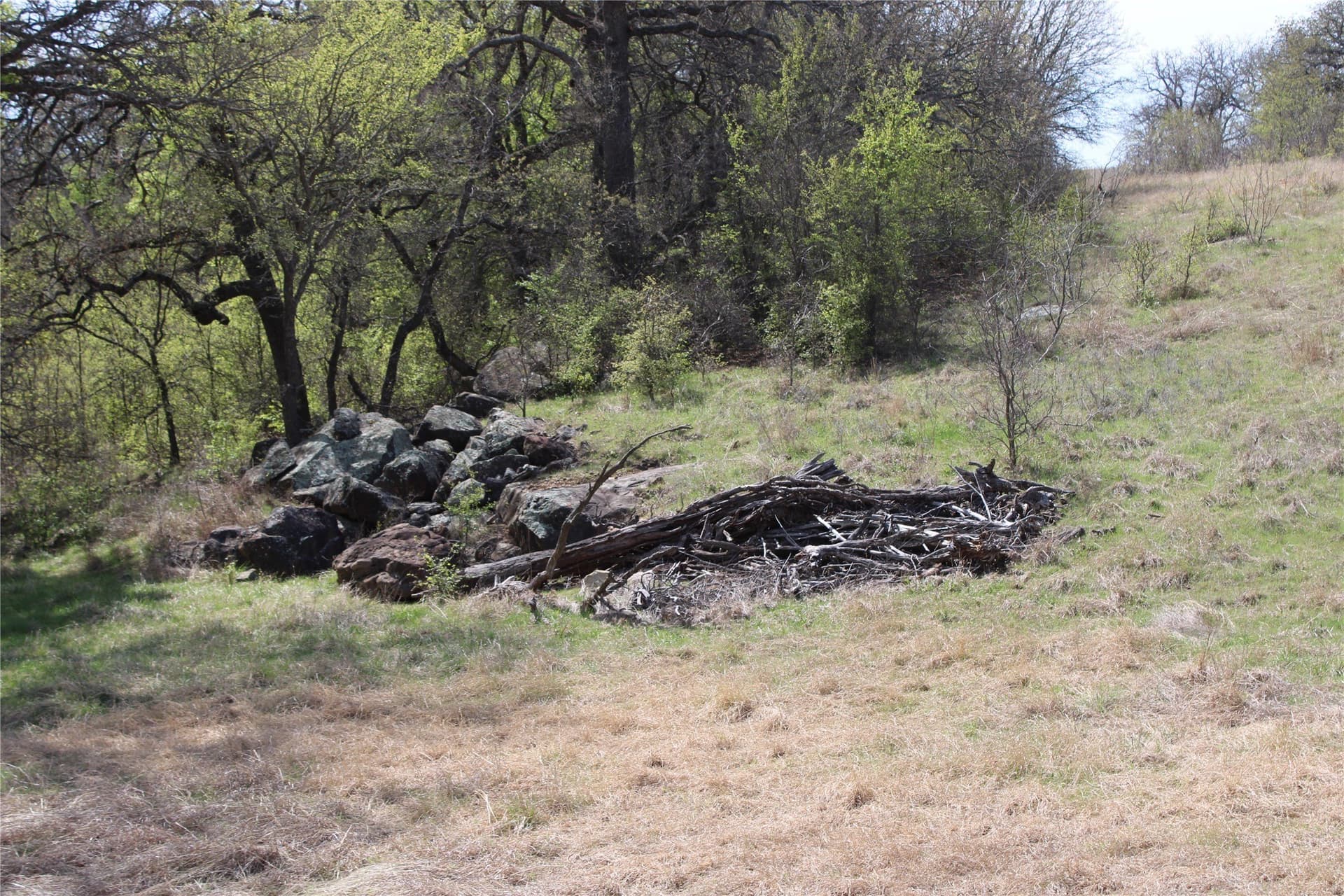 21 acres in Jack County - photo 9