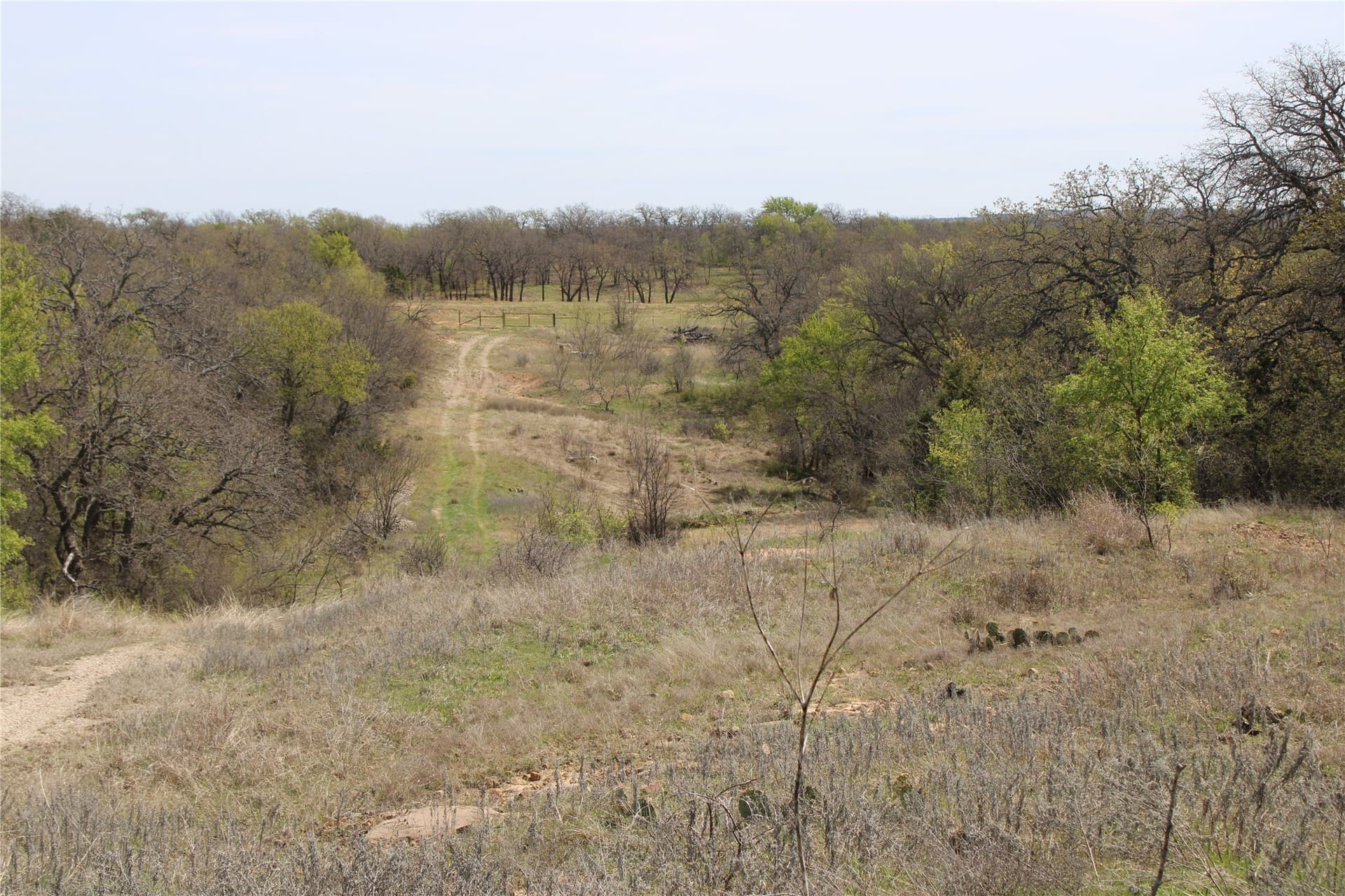 21 acres in Jack County gallery image 2