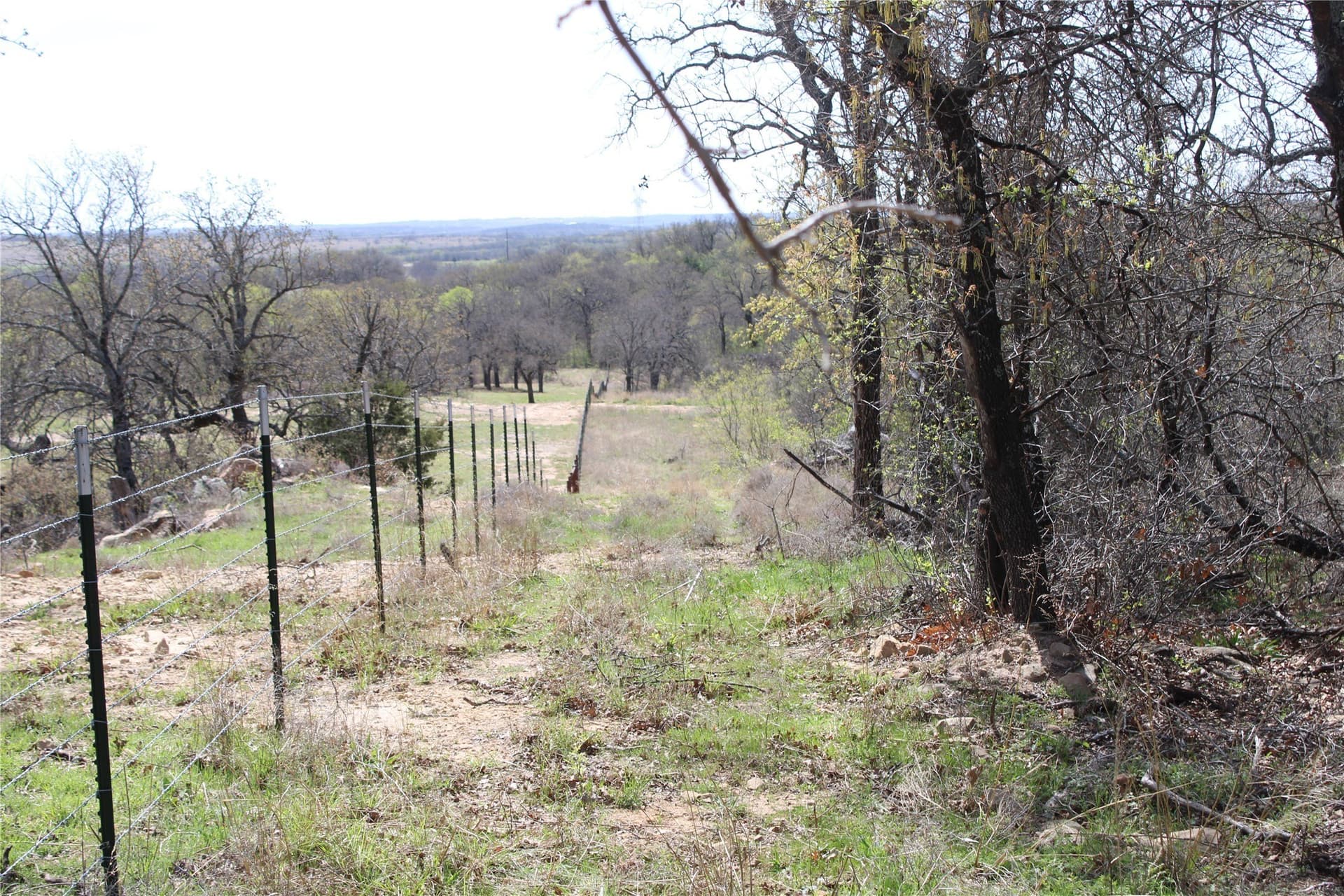 21 acres in Jack County - photo 12
