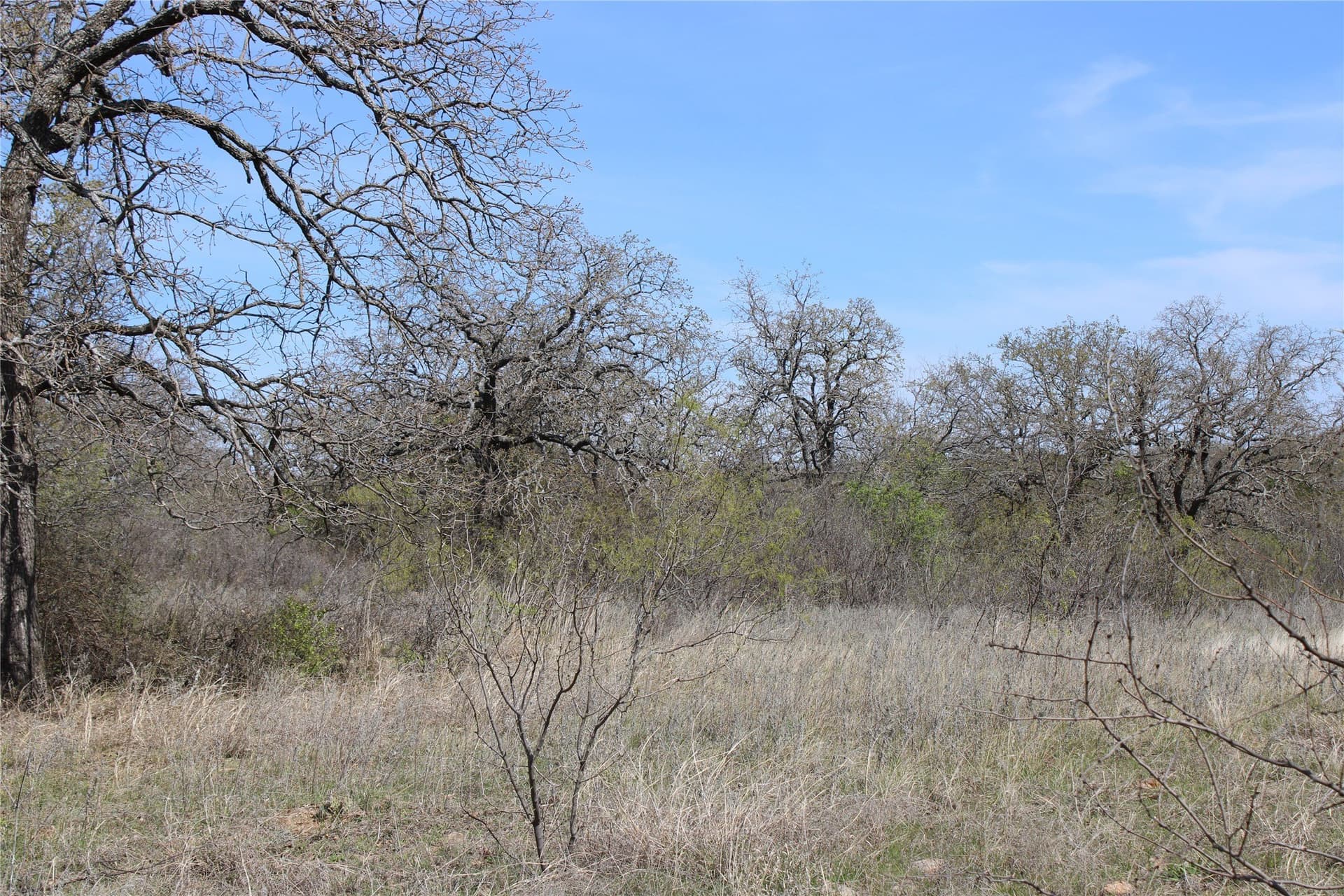 21 acres in Jack County - photo 6