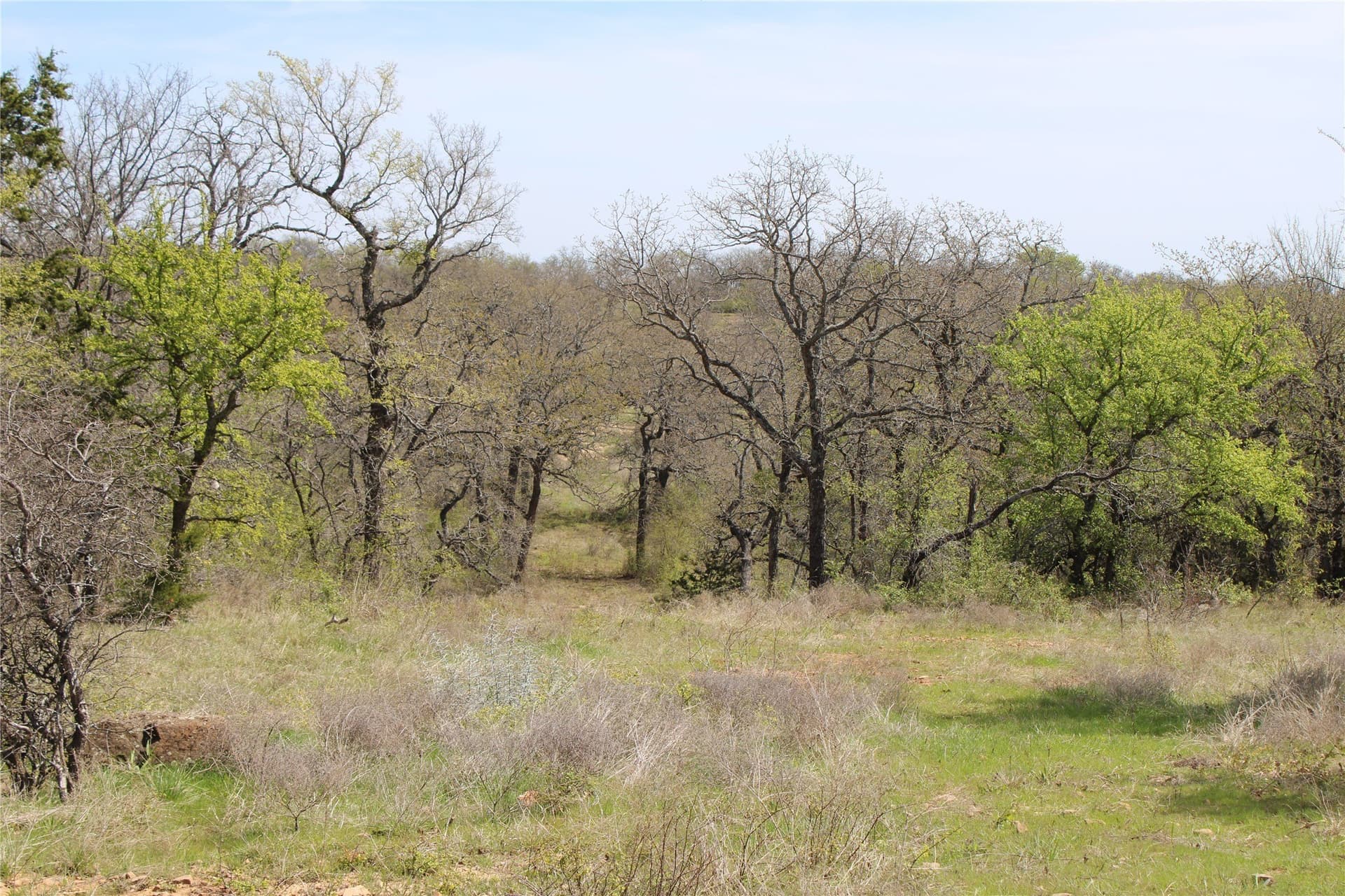 21 acres in Jack County - photo 7