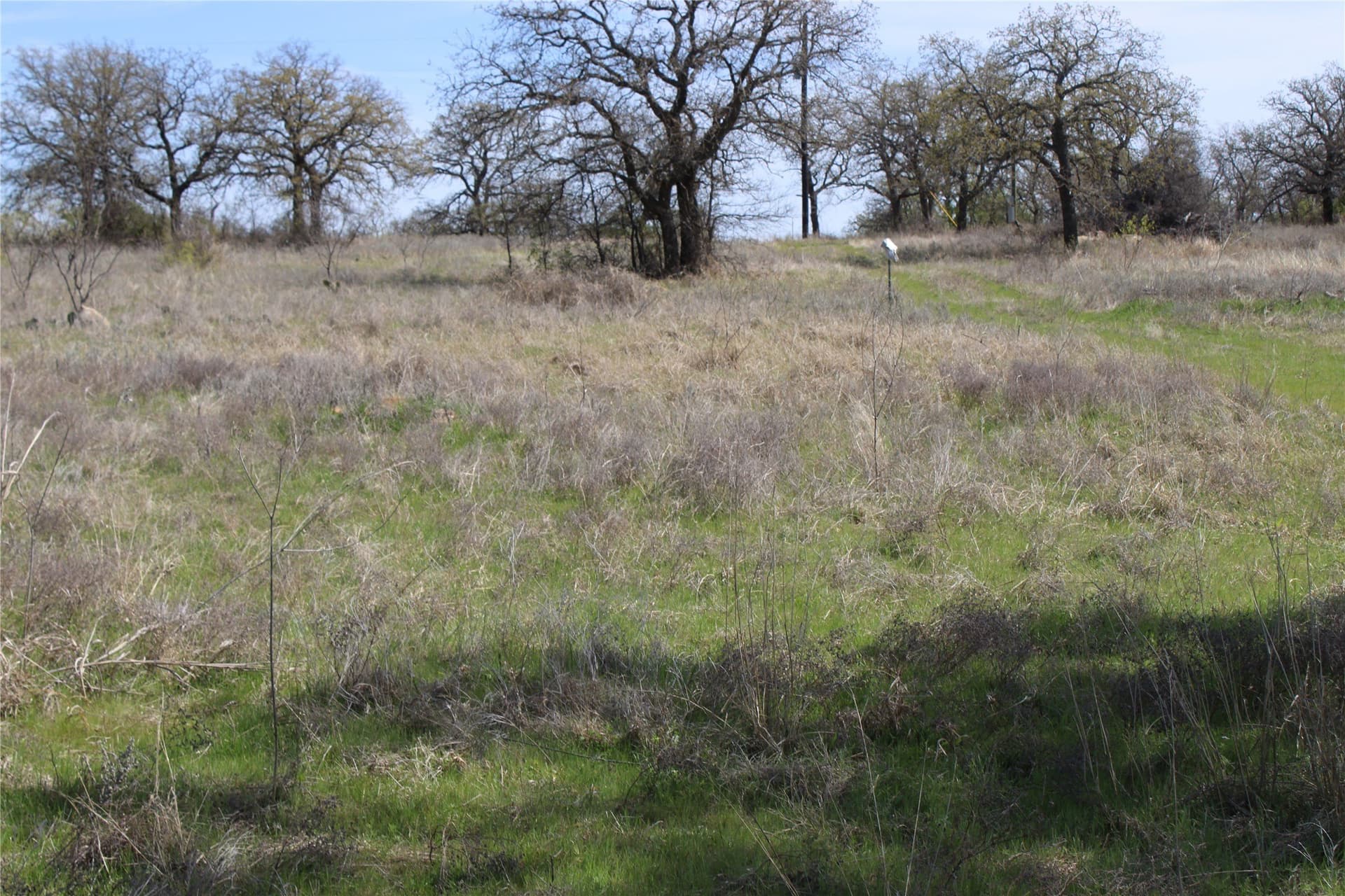21 acres in Jack County gallery image 4