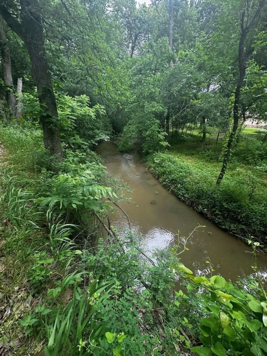 1.19 acres in Grayson County gallery image 3