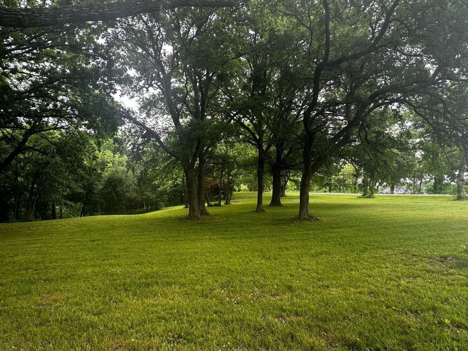 1.19 acres in Grayson County gallery image 2