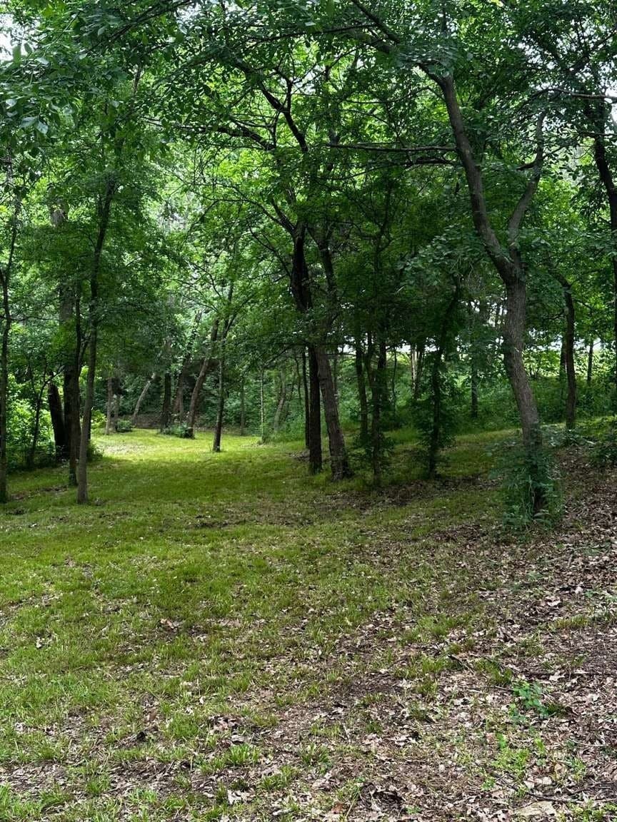 1.19 acres in Grayson County - photo 7
