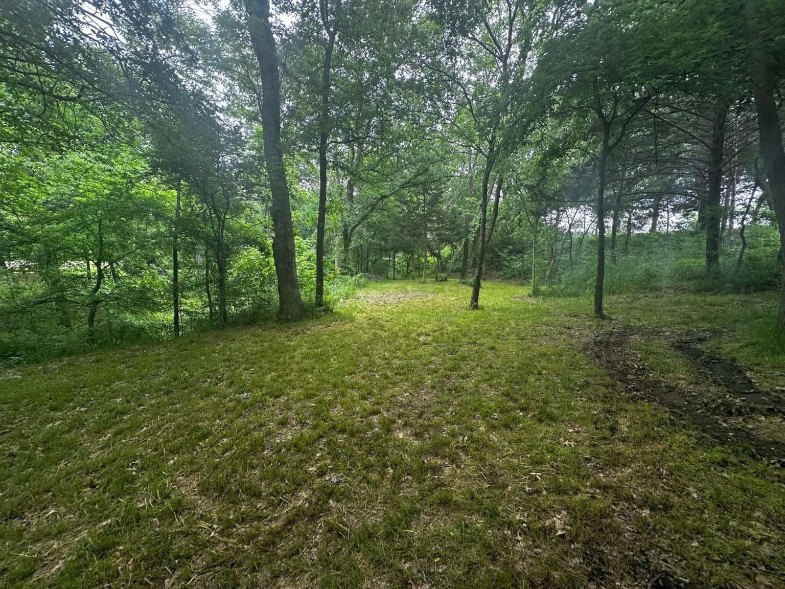 1.19 acres in Grayson County - photo 8