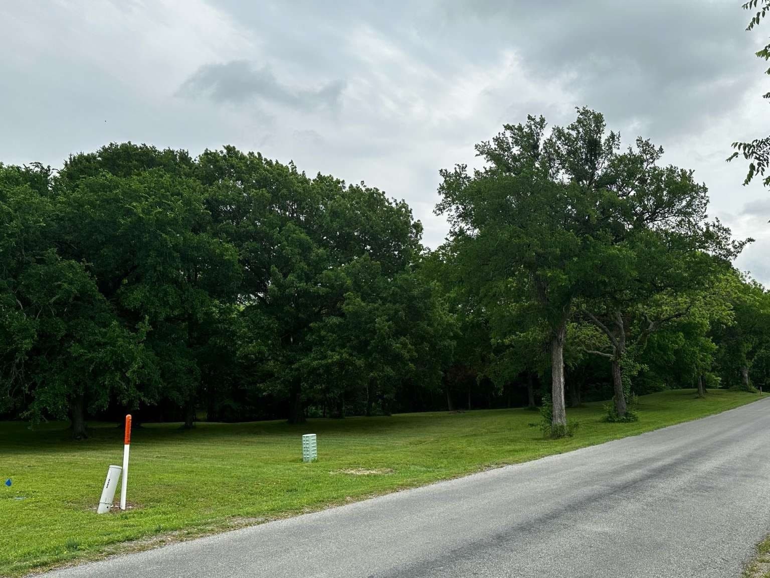 1.19 acres in Grayson County gallery image 4