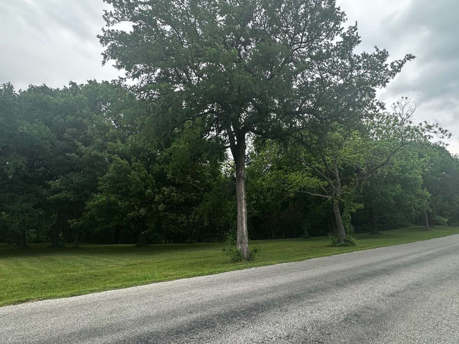 1.19 acres in Grayson County featured view