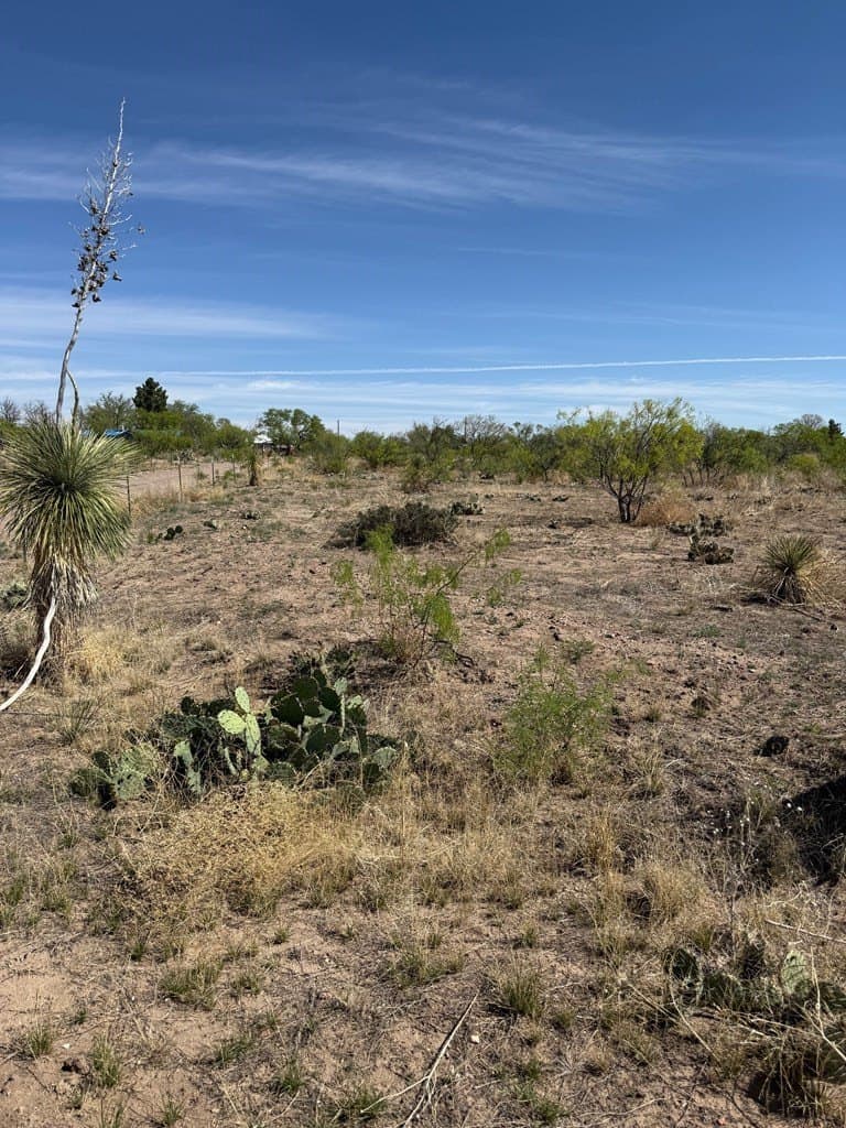 0.19 acres in Presidio County gallery image 2
